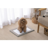 超速吸ペットシーツレギュラー 88枚入 アイリスオーヤマ