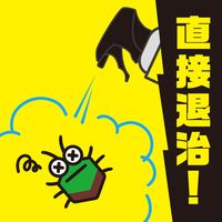 虫こないアース 玄関灯・外壁に 長日数持続タイプ 450mL 害虫駆除 スプレー 1本 アース製薬