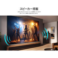 JAPANNEXT 98インチ 4K大型液晶モニター JN-IPS9803TUHDR-H2 1台（直送品）