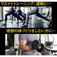 ホエイプロテイン　パワープロダクション　マックスロード　チョコレート味　1セット（1袋（850g）×2）　グリコ 　WPC