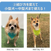 虫よけバンダナ 犬用 ブルー 1個 アース・ペット