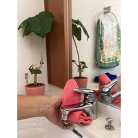 八ッ矢工業 マイクロタオル2赤 69141447 1枚