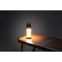 パール金属 スパイラルライト UK-4074 1個