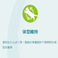 ピュリナワン 猫 総合栄養食 健康寿命ケア 7歳以上 50g 12袋 キャットフード パウチ ネスレ日本