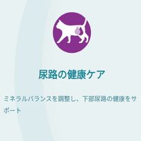 ピュリナワン 猫 総合栄養食 室内飼い猫用 1歳以上 50g 12袋 キャットフード パウチ ネスレ日本