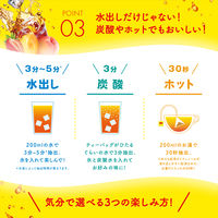 リプトン フルーツインティー ピーチ・ストロベリー&マンゴー 水出し紅茶ティーバッグ 1セット（8バッグ入×3袋）