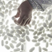 上州絹屋 セリシンナイトグローブ ベージュ 絹 100% 1セット（2個入） ミヤマ全織