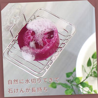 レック ステンレス石けん皿（吸盤）1セット（3個）