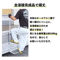 MKトレンド トラックステップ ワイド 2台セット MTS-02 1セット(2台)（直送品）