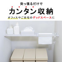 平安伸銅工業 突っ張り棚 スリムメッシュ マットホワイト 耐加重24～10kg 幅65～95cm TNS-M 1個