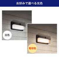 朝日電器 二重構造ウォールライト 大型 ESL-KN400SL 1個