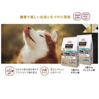 メディコートアドバンス グレインフリー 1歳から フィッシュ味 国産 2kg（500g×4袋入）3袋 ペットライン ドッグフード