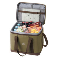 氷点下パック 抗菌・ベーシッククーラーXL 81670321 LOGOS/ロゴス