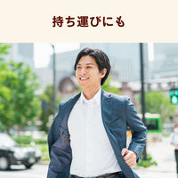 伊藤園 健康ミネラルむぎ茶 650ml 1セット（48本）【麦茶】