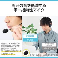 エレコム ヘッドセット ノイズキャンセリング オーバーヘッド Type-C 変換アダプタ付 HS-HP13SCBK 1個（直送品）