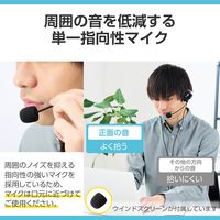 エレコム ヘッドセット ノイズキャンセリング ネックバンド Type-C 変換アダプタ付 HS-NB11SCBK 1個（直送品）