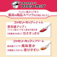 ファミリーカップ 香るチョコレートクリーム 130g 1個 ソントン ジャム スプレッド パン