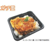 中央化学 どんぶり容器 CT ガチ重 IK 18-13 BK 身 154492 1袋(50個)（直送品）