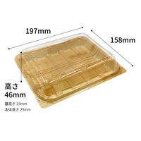 中央化学 フードパック パノラックV 20-16 男鹿 144725 1袋(50個)（直送品）