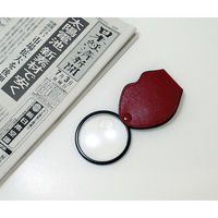 シンワ測定 ルーペ Nー3 ポケット型 二重焦点 65mm 2倍&4倍 75536 1個（直送品）