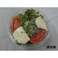 中央化学 冷麺容器 クリアボウル 中 ト付 3848 1袋(50個)（直送品）