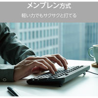 有線 キーボード メンブレン テンキーレス コンパクト 抗菌 ブラック TK-CM10UMKBK エレコム 1個（直送品）