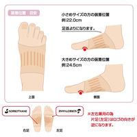 三進興産 ソルボタテアーチ シームレスサポーター dp00172 1個（直送品）