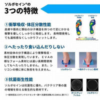 三進興産 DSISソルボキッズ フルインソールタイプ グレー 17cm dp00186 1個（直送品）