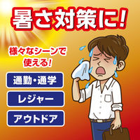 白元アース アイスノン 爆冷スプレー 無香料 330mL 1セット（3本）