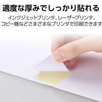 エレコム ラベルシール 表示･宛名ラベル プリンタ兼用 マット紙 A4 24面 1袋 (100シート) 白 EDT-ECNL24BZP