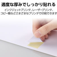 エレコム ラベルシール 表示･宛名ラベル プリンタ兼用 マット紙 A4 44面 1袋 (100シート) 白 EDT-ECNL44ZP