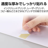 エレコム ラベルシール 表示･宛名ラベル プリンタ兼用 マット紙 A4 65面 1袋 (100シート) 白 EDT-ECNL65ZP