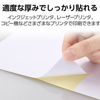 エレコム ラベルシール 表示･宛名ラベル プリンタ兼用 マット紙 A4 2面 1袋 (100シート) 白 EDT-ECNL2ZP