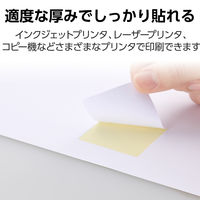 エレコム ラベルシール 表示･宛名ラベル プリンタ兼用 マット紙 A4 12面 1袋 (100シート) 白 EDT-ECNL12AZP