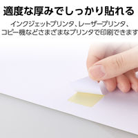エレコム ラベルシール 表示･宛名ラベル プリンタ兼用 マット紙 A4 30面 1袋 (100シート) 白 EDT-ECNL30ZP