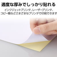 エレコム ラベルシール 表示･宛名ラベル プリンタ兼用 マット紙 A4 ノーカット 1面 1袋 (100シート) 白 EDT-ECNL1ZP