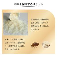 【アウトレット】サイエルインターナショナル 保冷米びつ ライスクーラー31kg SLI-RC31 1台