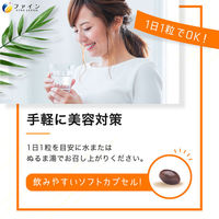 UV気にならないサプリ20粒 1個 ファイン