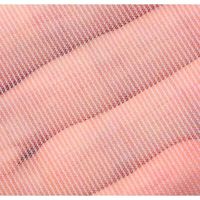 昆虫網のびっこネオ Nブルー 虫捕り網 1個 エーワン