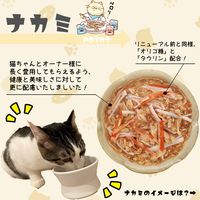 朝市場 猫用 鰹の旨みゼリー かつおとかにかま 48g 1セット（1袋×24）F&Bell キャットフード パウチ