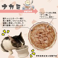 朝市場 猫用 鰹の旨みゼリー仕立て かつお 48g 1セット（1袋×24）F&Bell キャットフード パウチ