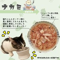 朝市場 猫用 鰹の旨みゼリー かつおと白身魚 48g 1セット（1袋×24）F&Bell キャットフード パウチ