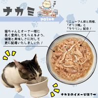 朝市場 猫用 鰹の旨みゼリー仕立て かつおとしらす 48g 1セット（1袋×24）F&Bell キャットフード パウチ