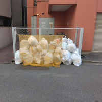 ニッショウ機器 鳥よけネット(1m×1m) 6300054593 1枚（直送品）