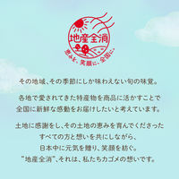 【アウトレット】カゴメ 野菜生活100 濃厚果実 宮崎マンゴーミックス 195ml 1箱（24本入）