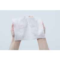 アイリスオーヤマ ウェットティッシュ トイレに流せる 携帯 ポケットウェットティッシュ POF-6PN 1パック（8枚入×6個）