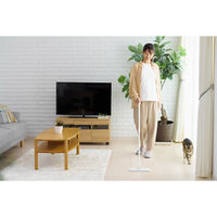 山崎産業 Y.フローリングワイパーNー300 EC 4903180201242 1箱(1本)