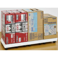 サンコープラスチック 連結できるラクゴロ22ホワイト 4973230350268 1セット(1個×2)