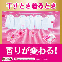 （在庫処分）ボールド ジェルボール4D 癒しのプレミアムブロッサムの香り 詰め替え テラジャンボ 1箱（297粒：99粒入×3個）洗濯洗剤 P&G【旧品】