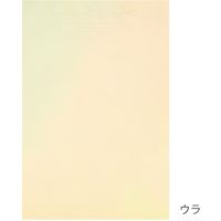 ヘッズ ブーケラッピング耐水ペーパー-5(30枚) BWP-D5 1セット(5パック×30枚)（直送品）